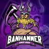 TeamBanhammer