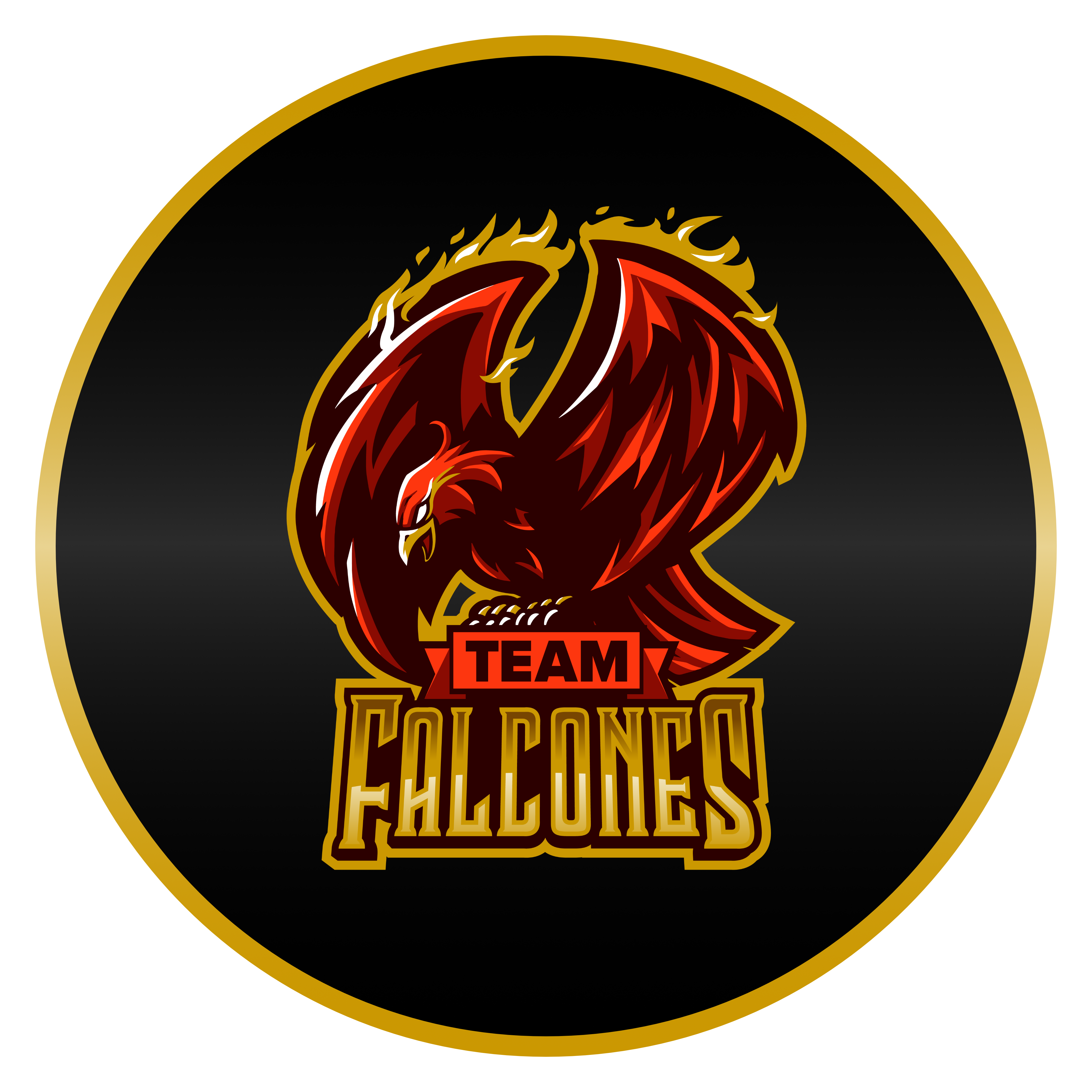 Team Falcones